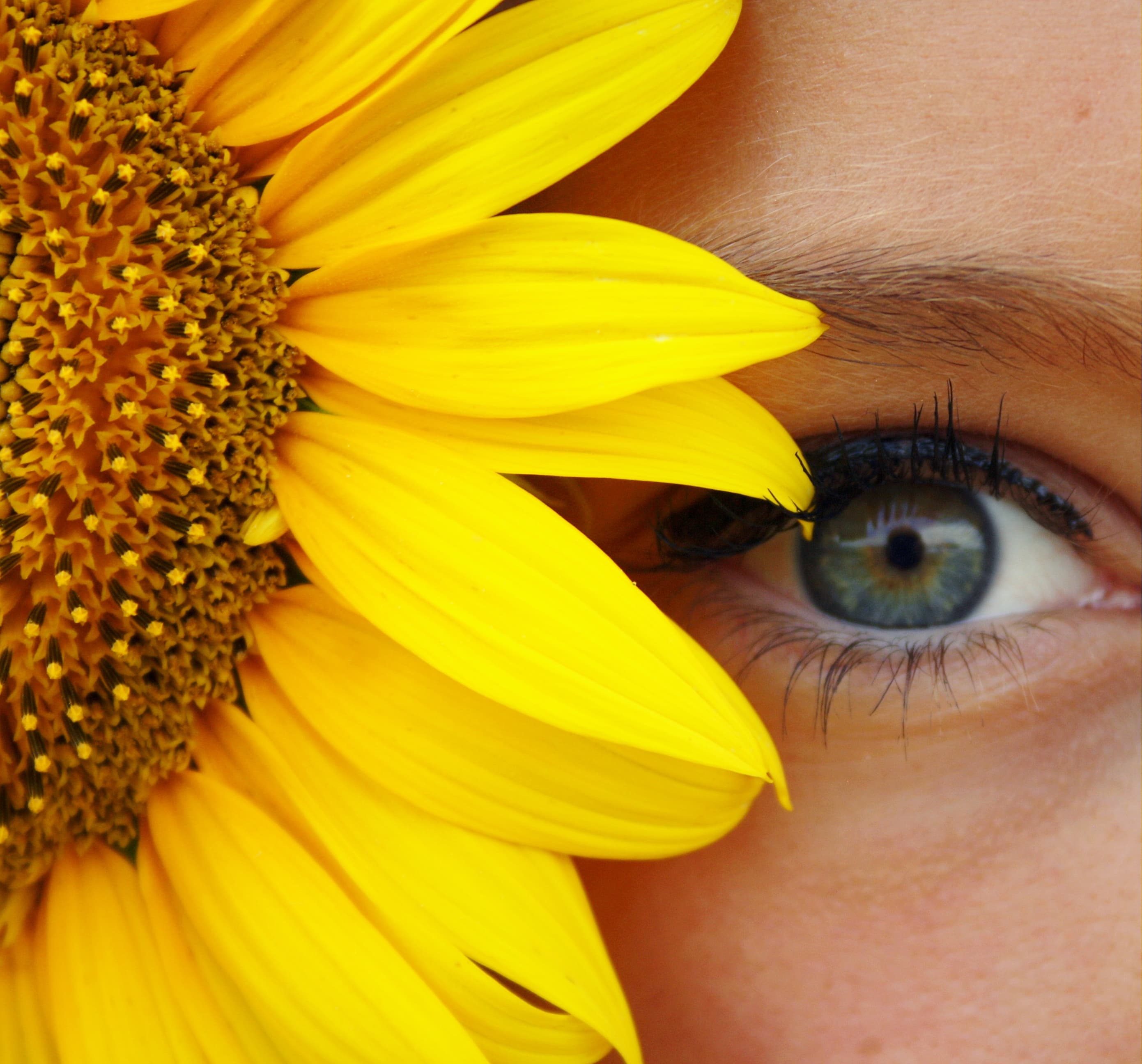 L'Œil de Lucile, photographe professionnelle